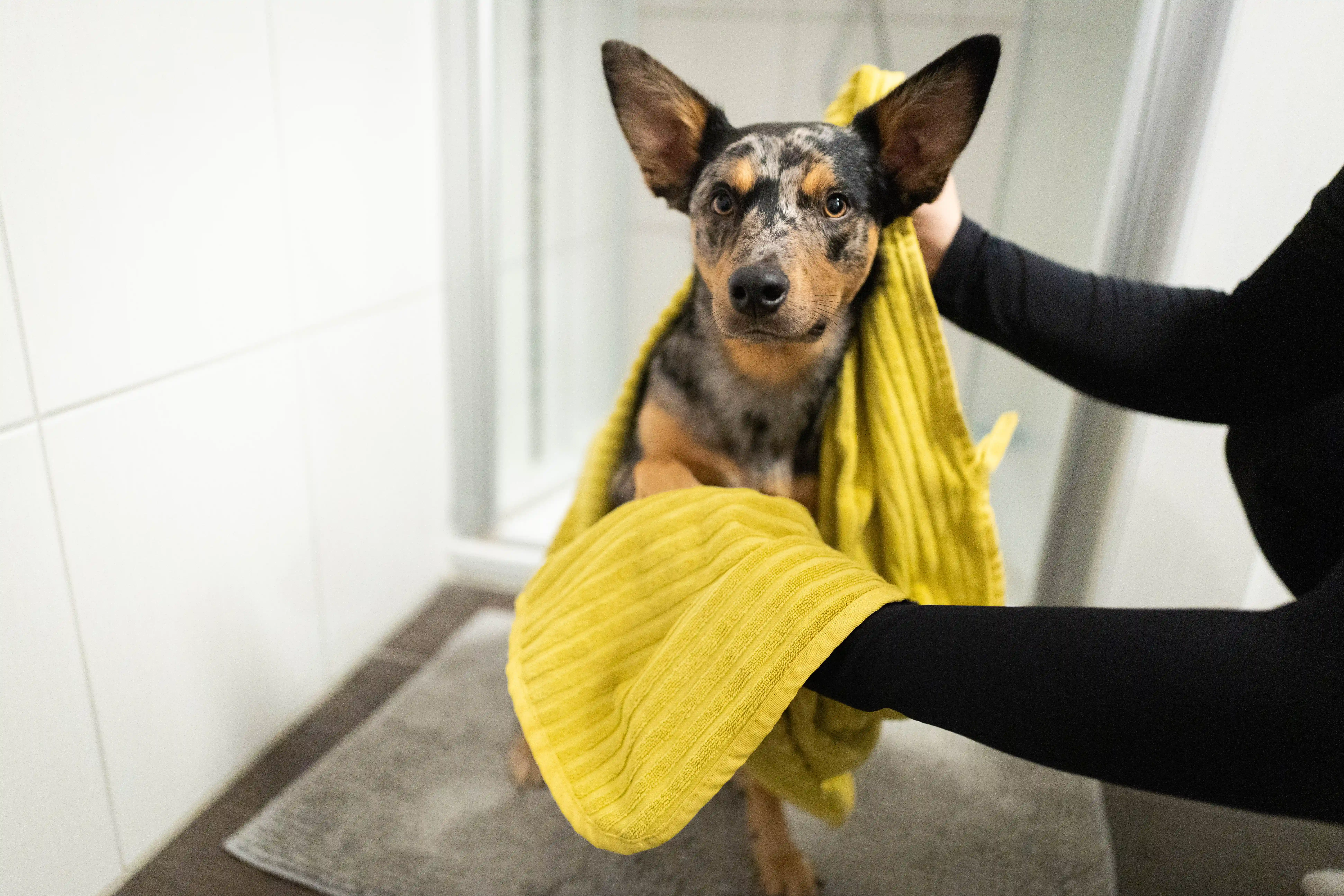 Rukka Pets Hundehandtuch Aalto